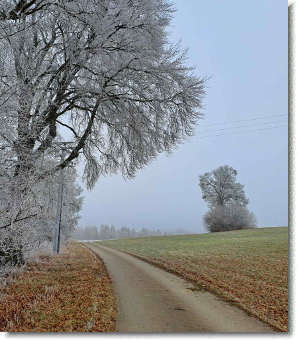 Bild KK-2025 Januar